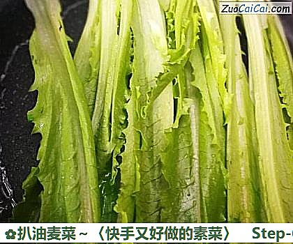 扒油麦菜~〈快手又好做的素菜〉做法第六步骤