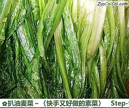 扒油麦菜~〈快手又好做的素菜〉做法第九步骤