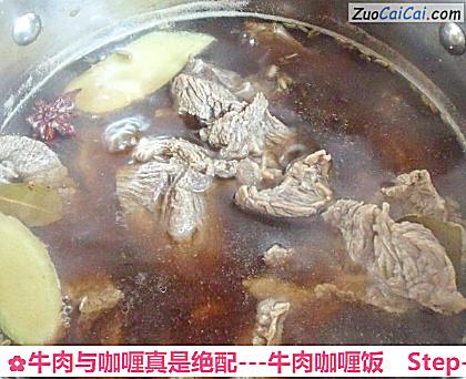 牛肉与咖喱真是绝配做法第三步骤