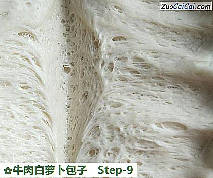 牛肉白萝卜包子做法第九步骤