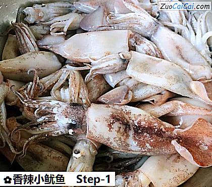 香辣小鱿鱼做法第一步骤