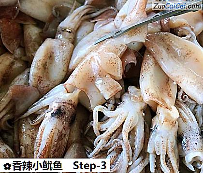 香辣小鱿鱼做法第三步骤
