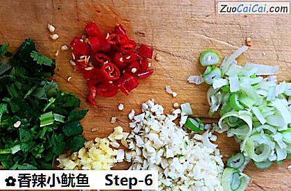 香辣小鱿鱼做法第六步骤