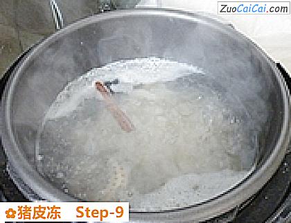 猪皮冻做法第九步骤