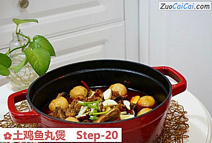 土鸡鱼丸煲做法第二十步骤