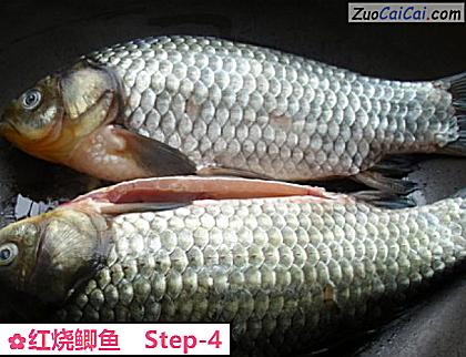 红烧鲫鱼做法第四步骤