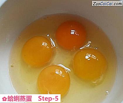 蛤蜊蒸蛋做法第五步骤