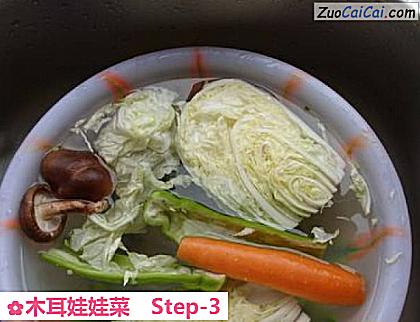 木耳娃娃菜做法第三步骤