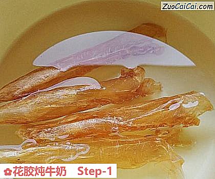 花胶炖牛奶做法第一步骤
