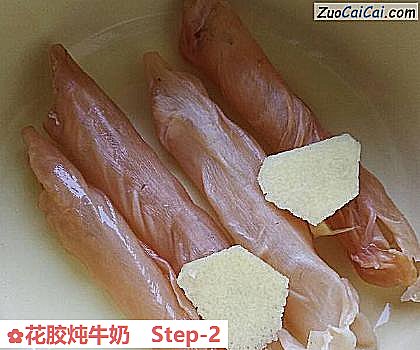 花胶炖牛奶做法第二步骤