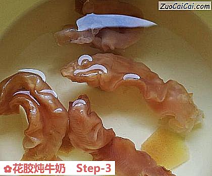 花胶炖牛奶做法第三步骤