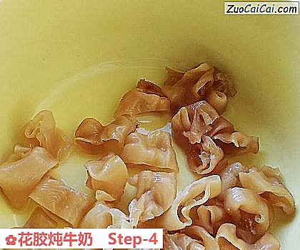 花胶炖牛奶做法第四步骤
