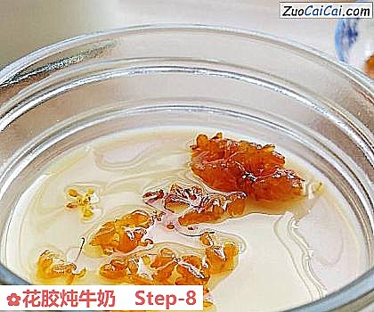 花胶炖牛奶做法第八步骤