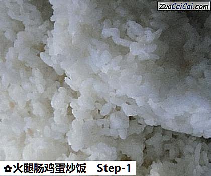 火腿肠鸡蛋炒饭做法第一步骤