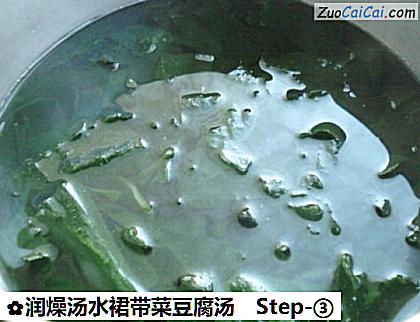 润燥汤水裙带菜豆腐汤做法第三步骤