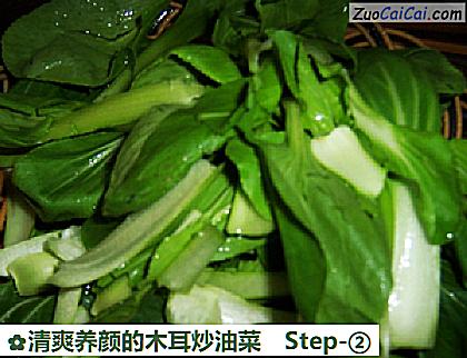 清爽养颜的木耳炒油菜做法第二步骤