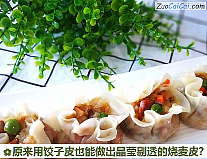 原来用饺子皮也能做出晶莹剔透的烧麦皮？做法第十步骤