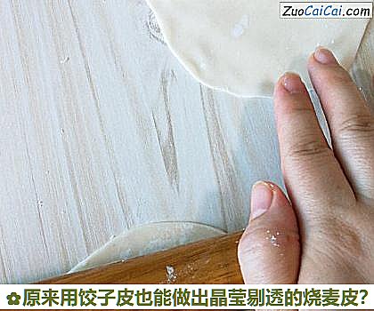 原来用饺子皮也能做出晶莹剔透的烧麦皮？做法第五步骤