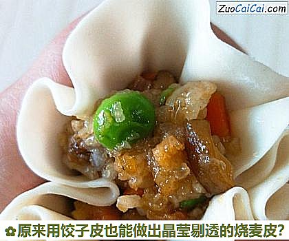 原来用饺子皮也能做出晶莹剔透的烧麦皮？做法第六步骤