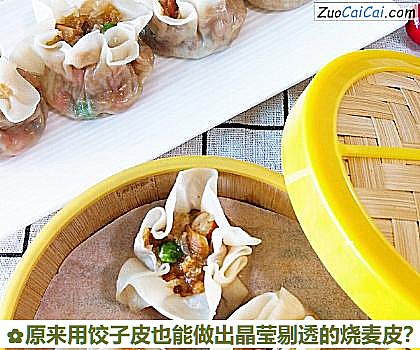 原来用饺子皮也能做出晶莹剔透的烧麦皮？做法第九步骤