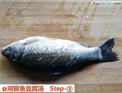 河鲫鱼豆腐汤做法第三步骤