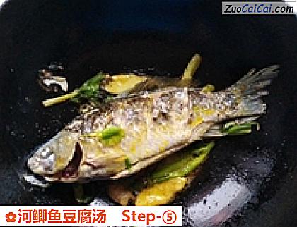 河鲫鱼豆腐汤做法第五步骤