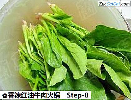 香辣红油牛肉火锅的做法步骤图(八) 香辣红油牛肉火锅的做法步骤图(八)