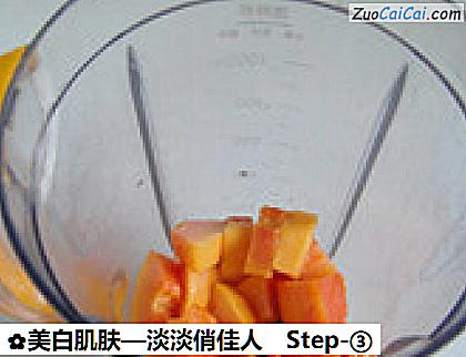 美白肌肤—淡淡俏佳人做法第三步骤