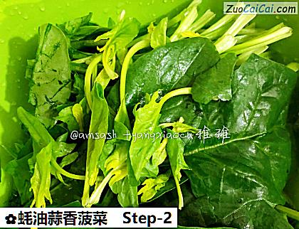 蚝油蒜香菠菜做法第二步骤