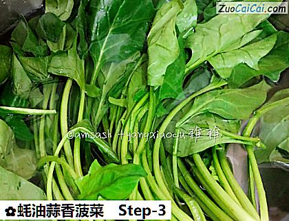 蚝油蒜香菠菜做法第三步骤