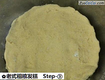 老式粗粮发糕做法第三步骤