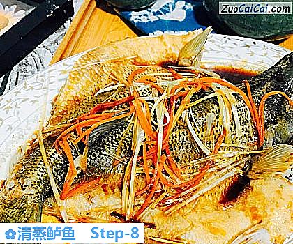 清蒸鲈鱼做法第八步骤