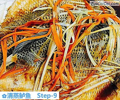 清蒸鲈鱼做法第九步骤