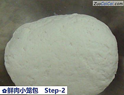 鲜肉小笼包做法第二步骤