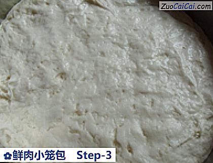 鲜肉小笼包做法第三步骤