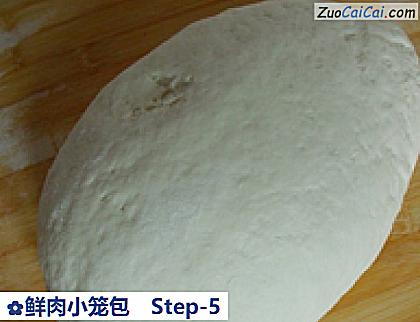 鲜肉小笼包做法第五步骤