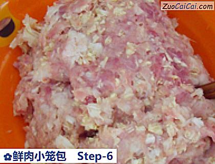 鲜肉小笼包做法第六步骤