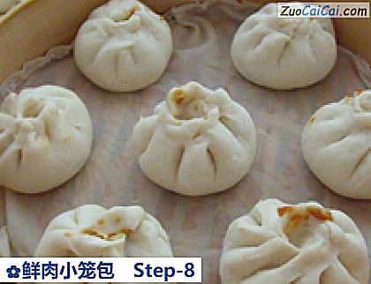 鲜肉小笼包做法第八步骤