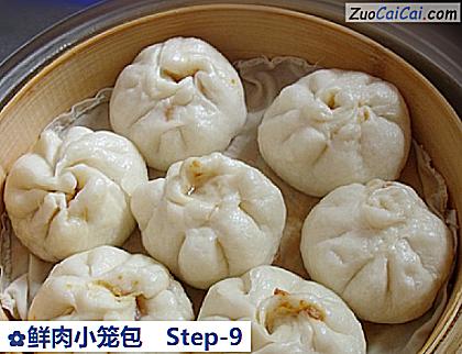 鲜肉小笼包做法第九步骤