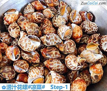 涝汁花螺做法第一步骤