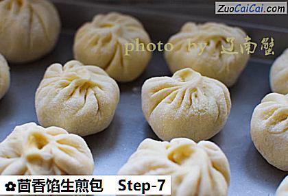 茴香馅生煎包做法第七步骤
