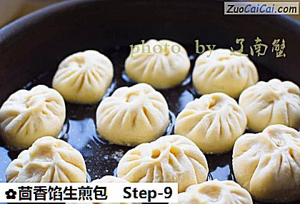 茴香馅生煎包做法第九步骤