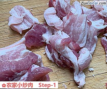 农家小炒肉做法第一步骤