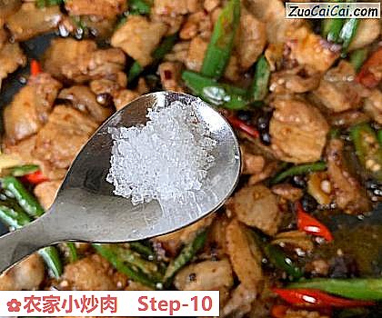 农家小炒肉做法第十步骤
