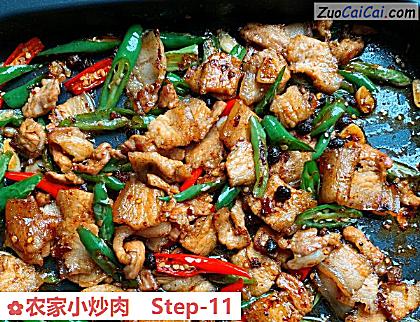 农家小炒肉做法第十一步骤