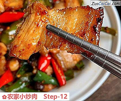 农家小炒肉做法第十二步骤