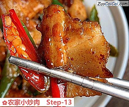 农家小炒肉做法第十三步骤