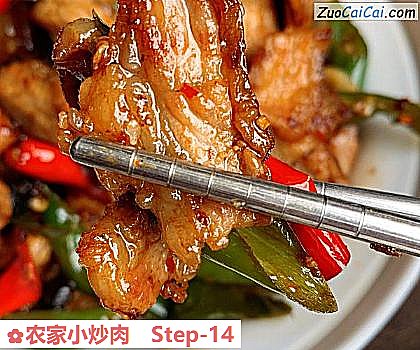 农家小炒肉做法第十四步骤