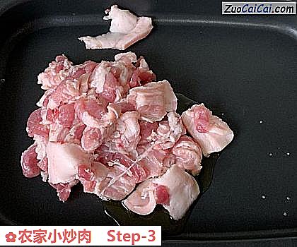 农家小炒肉做法第三步骤