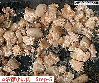 农家小炒肉做法第五步骤